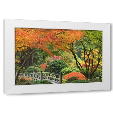 Oregon, Portland Bridge and maple tree in autumn White Modern Wood Framed Art Print by Paulson, Don