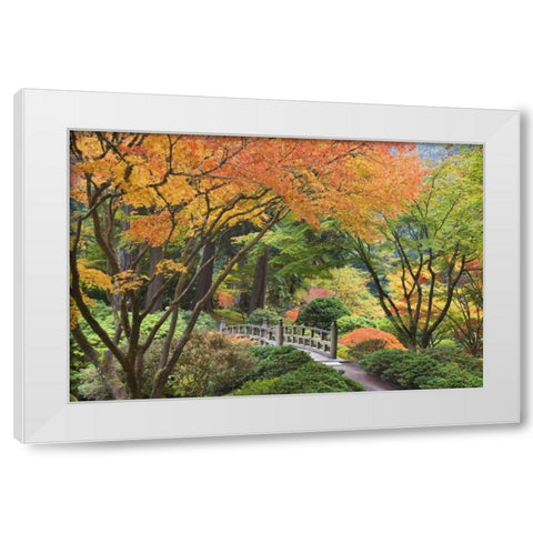Oregon, Portland Bridge and maple tree in autumn White Modern Wood Framed Art Print by Paulson, Don