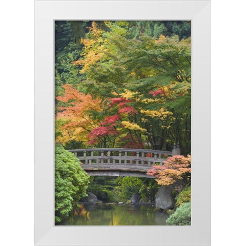 Oregon, Portland Wooden bridge over pond White Modern Wood Framed Art Print by Paulson, Don