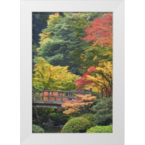 Oregon, Portland Wooden bridge over pond White Modern Wood Framed Art Print by Paulson, Don