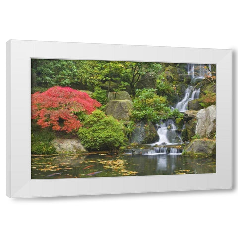 Oregon, Portland Waterfall flows into koi pond White Modern Wood Framed Art Print by Paulson, Don