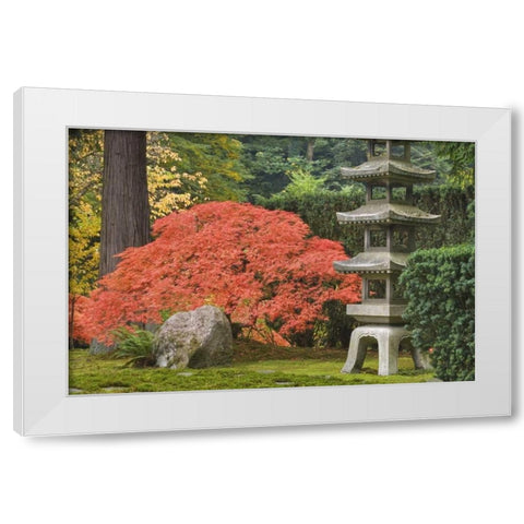 Oregon, Portland Stone tower and Japanese maple White Modern Wood Framed Art Print by Paulson, Don