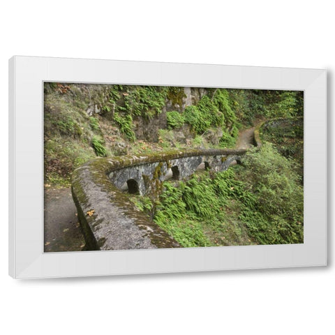 OR, Columbia Gorge Stone wall next to trail White Modern Wood Framed Art Print by Paulson, Don