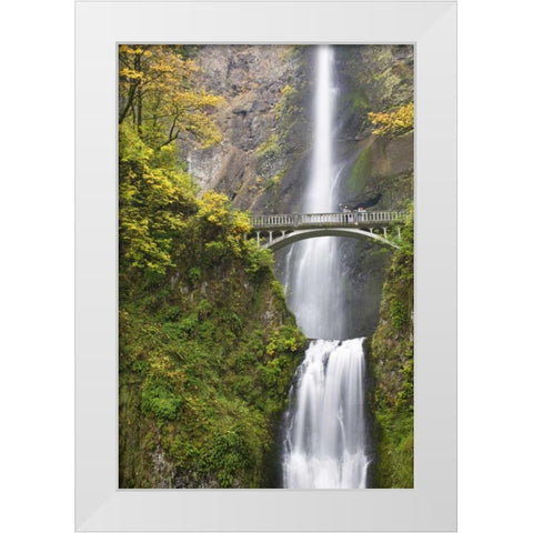 OR, Columbia Gorge Bridge by Multnomah Falls White Modern Wood Framed Art Print by Paulson, Don