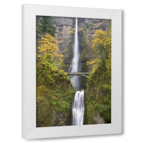 OR, Columbia Gorge Bridge by Multnomah Falls White Modern Wood Framed Art Print by Paulson, Don