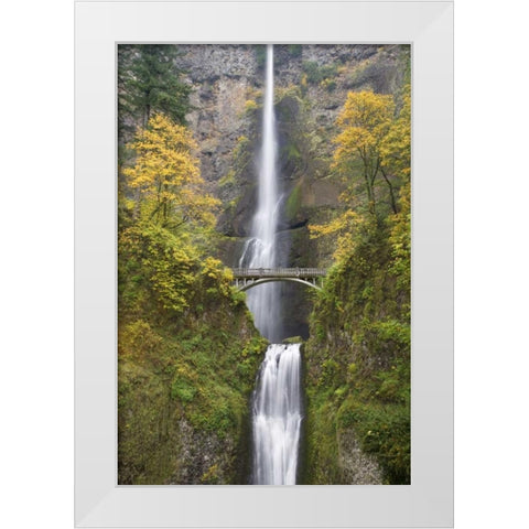 OR, Columbia Gorge Bridge by Multnomah Falls White Modern Wood Framed Art Print by Paulson, Don