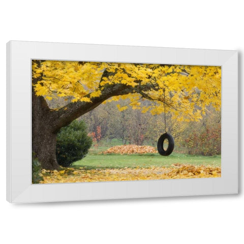 OR, Hood River Tire swing hangs from tree branch White Modern Wood Framed Art Print by Paulson, Don