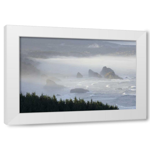 Oregon, Gold Beach Foggy morning on seashore White Modern Wood Framed Art Print by Kaveney, Wendy
