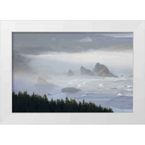 Oregon, Gold Beach Foggy morning on seashore White Modern Wood Framed Art Print by Kaveney, Wendy