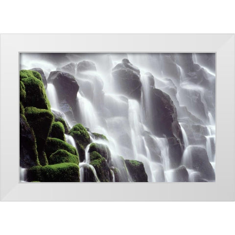 OR, Ramona Falls Waterfall cascades down a cliff White Modern Wood Framed Art Print by Satushek, Steve