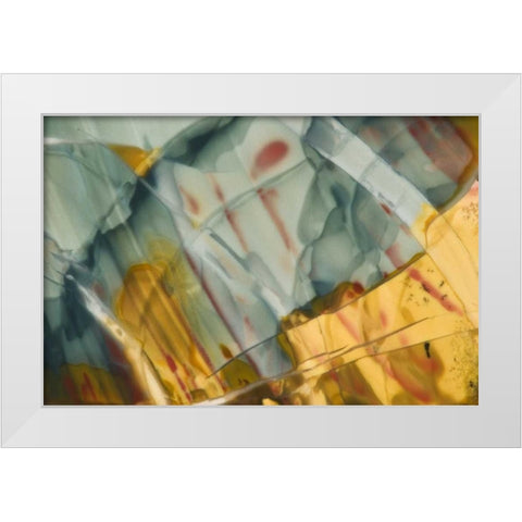 Oregon, Owyhee River Valley Morrisonite Jasper White Modern Wood Framed Art Print by Kirkland, Dennis