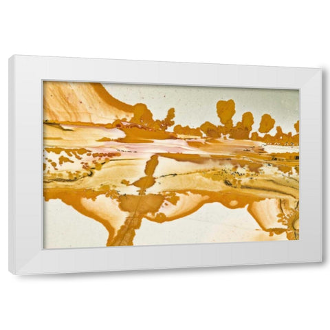 Oregon Close-up of Owyhee Picture Jasper stone White Modern Wood Framed Art Print by Kirkland, Dennis