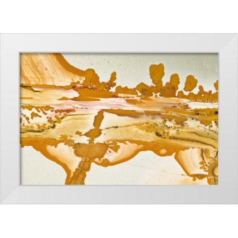 Oregon Close-up of Owyhee Picture Jasper stone White Modern Wood Framed Art Print by Kirkland, Dennis
