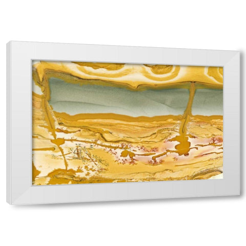 Oregon Close-up of Owyhee Picture Jasper stone White Modern Wood Framed Art Print by Kirkland, Dennis