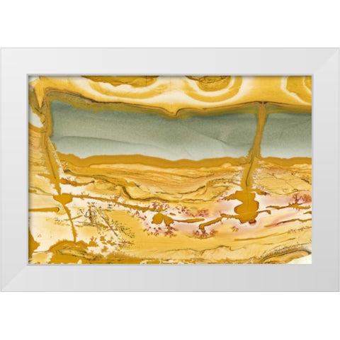 Oregon Close-up of Owyhee Picture Jasper stone White Modern Wood Framed Art Print by Kirkland, Dennis