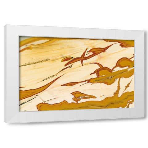 Oregon Close-up of Owyhee Picture Jasper stone White Modern Wood Framed Art Print by Kirkland, Dennis