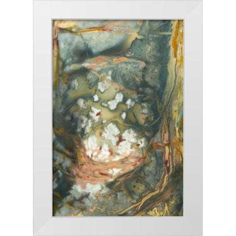 Oregon, Owyhee River Valley Morrisonite Jasper White Modern Wood Framed Art Print by Kirkland, Dennis
