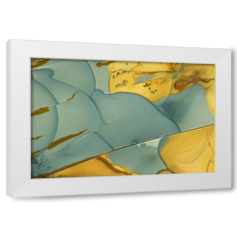 Oregon, Owyhee River Valley Morrisonite Jasper White Modern Wood Framed Art Print by Kirkland, Dennis