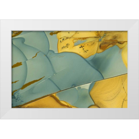 Oregon, Owyhee River Valley Morrisonite Jasper White Modern Wood Framed Art Print by Kirkland, Dennis