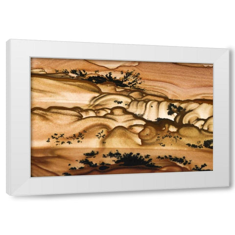 Oregon Close-up of Biggs Picture Jasper stone White Modern Wood Framed Art Print by Kirkland, Dennis