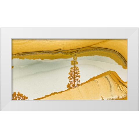 Oregon Close-up of Owyhee Picture Jasper stone White Modern Wood Framed Art Print by Kirkland, Dennis