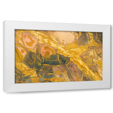 Oregon, Owyhee River Valley Morrisonite Jasper White Modern Wood Framed Art Print by Kirkland, Dennis