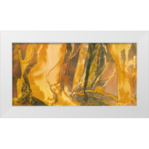 Oregon, Owyhee River Valley Morrisonite Jasper White Modern Wood Framed Art Print by Kirkland, Dennis