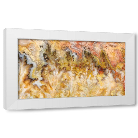 Oregon Graveyard Point Plume Agate stone White Modern Wood Framed Art Print by Kirkland, Dennis