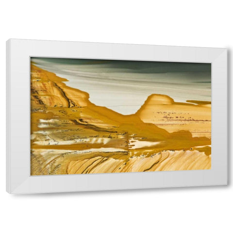 Oregon, Owyhee Close-up of picture jasper stone White Modern Wood Framed Art Print by Kirkland, Dennis