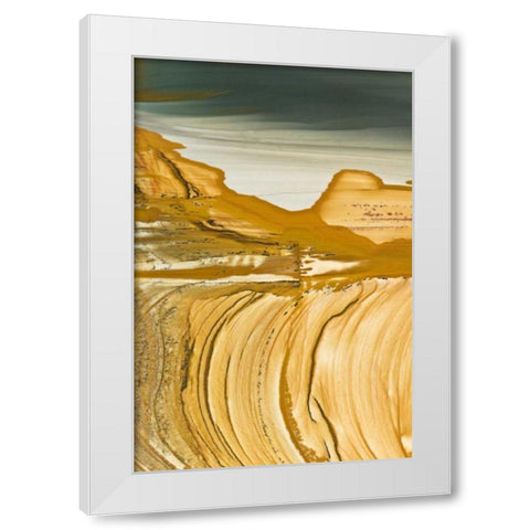 Oregon, Owyhee Close-up of picture jasper stone White Modern Wood Framed Art Print by Kirkland, Dennis