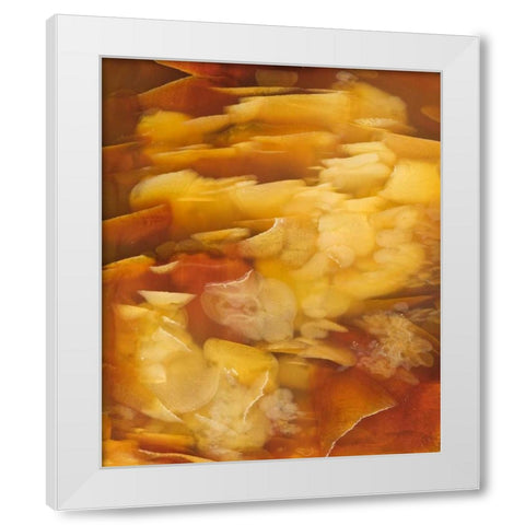 USA, Oregon Close-up of red flake agate stone White Modern Wood Framed Art Print by Kirkland, Dennis