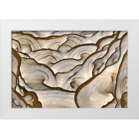 Oregon, Biggs Close-up of picture jasper stone White Modern Wood Framed Art Print by Kirkland, Dennis