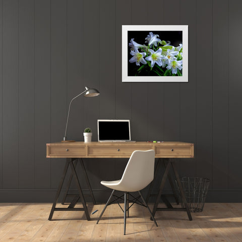 USA, Oregon Close-up of Easter lilies White Modern Wood Framed Art Print by Carter, Jean