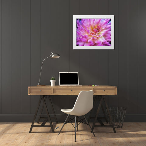 Oregon Abstract of digitally altered pink dahlia White Modern Wood Framed Art Print by Carter, Jean