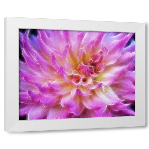Oregon Abstract of digitally altered pink dahlia White Modern Wood Framed Art Print by Carter, Jean