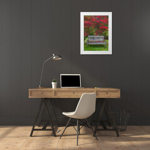 OR Garden bench and Japanese maple tree White Modern Wood Framed Art Print by Carter, Jean