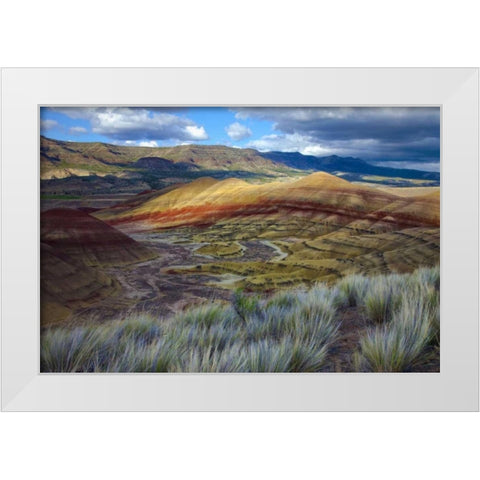 Oregon, John Day Fossil Beds NM, Painted Hills White Modern Wood Framed Art Print by Carter, Jean