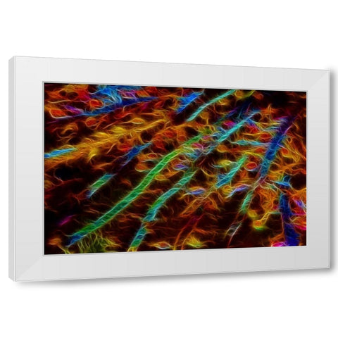 OR, Bandon Abstract of Pacific sea kelp White Modern Wood Framed Art Print by Carter, Jean