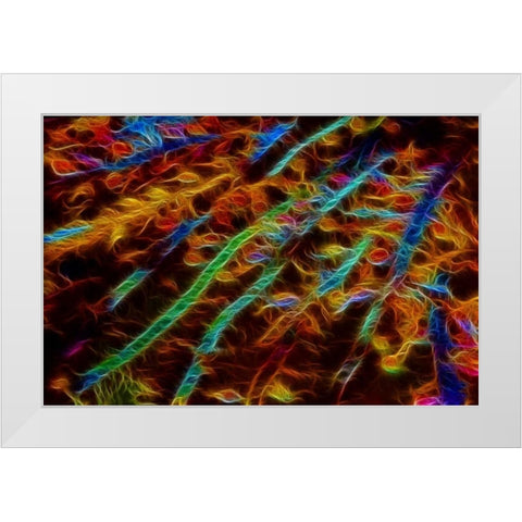 OR, Bandon Abstract of Pacific sea kelp White Modern Wood Framed Art Print by Carter, Jean