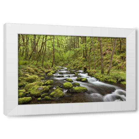 Oregon, Columbia River Gorge Gorton Creek White Modern Wood Framed Art Print by Paulson, Don