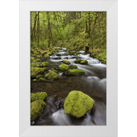 Oregon, Columbia River Gorge Gorton Creek White Modern Wood Framed Art Print by Paulson, Don