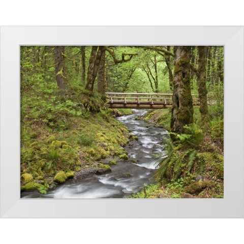 OR, Columbia Gorge Wooden bridge over Creek White Modern Wood Framed Art Print by Paulson, Don