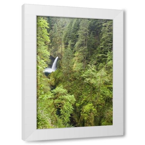 OR, Columbia Gorge Metlako Falls White Modern Wood Framed Art Print by Paulson, Don