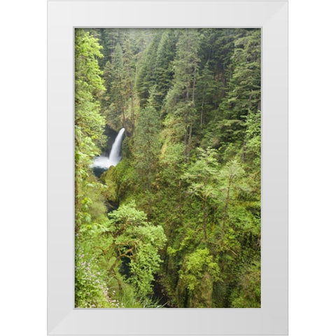 OR, Columbia Gorge Metlako Falls White Modern Wood Framed Art Print by Paulson, Don