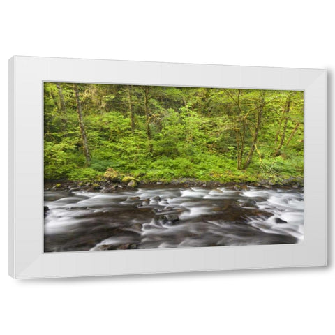 Oregon, Columbia River Gorge Tanner Creek White Modern Wood Framed Art Print by Paulson, Don