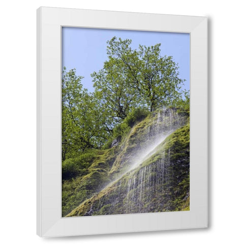 OR, Columbia Gorge Waterfall flowing from cliff White Modern Wood Framed Art Print by Paulson, Don