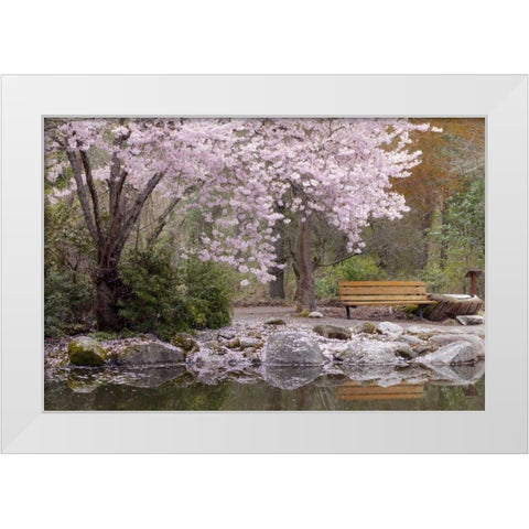 Oregon, Ashland Spring scenic in Lithia Park White Modern Wood Framed Art Print by Paulson, Don