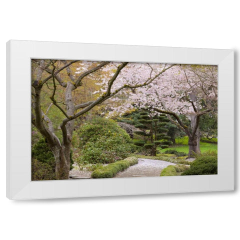 Oregon, Ashland Spring scenic in Lithia Park White Modern Wood Framed Art Print by Paulson, Don