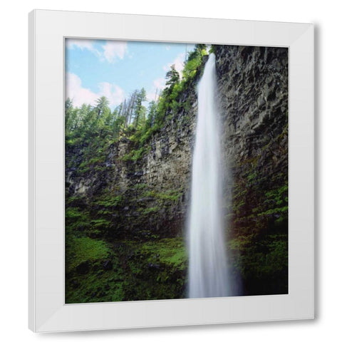 USA, Oregon, A waterfall in an old-growth forest White Modern Wood Framed Art Print by Talbot Frank, Christopher