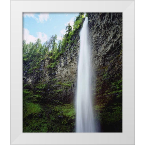 USA, Oregon, A waterfall in an old-growth forest White Modern Wood Framed Art Print by Talbot Frank, Christopher